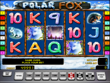 Automat do gry Polar Fox