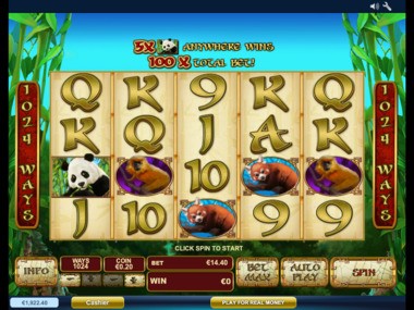 Automat hazardowy Lucky Panda bez rejestracji