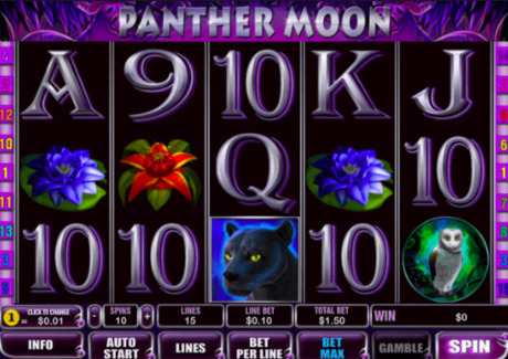Automat hazardowy Panther Moon bez rejestracji