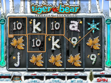 Automat hazardowy Tiger vs. Bear bez rejestracji
