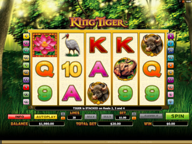 Darmowy automat kasynowy King Tiger